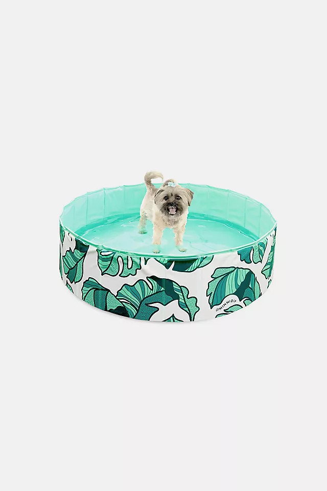 Minnidip That's Banana(leave)s! Pup Dip Dog Pool | Anthropologie (US)