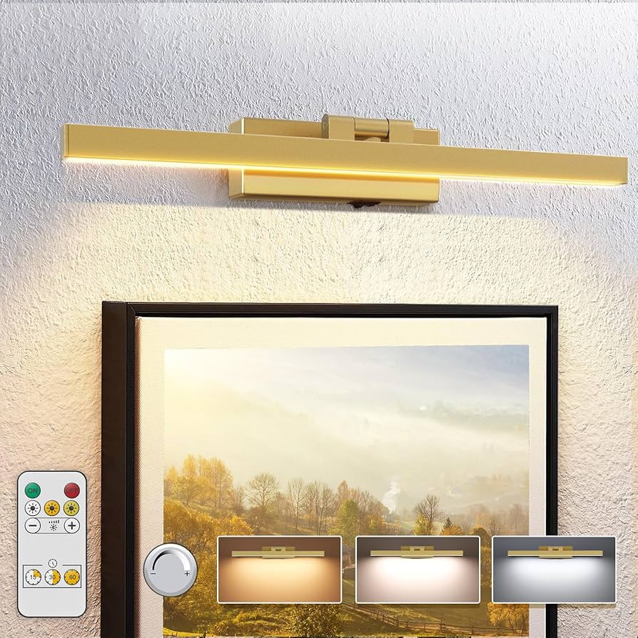 VOLISUN Picture Light Battery Operated with Remote, 3CCT Dimmable Gold Picture Light for Painting... | Amazon (US)