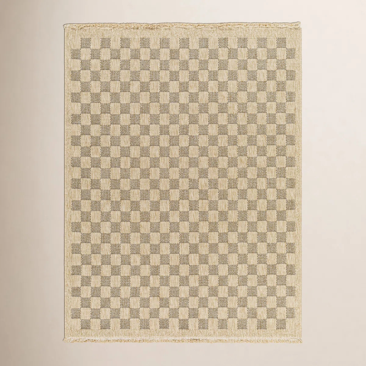Abbie Machine Woven Checkered Area Rug | Wayfair North America
