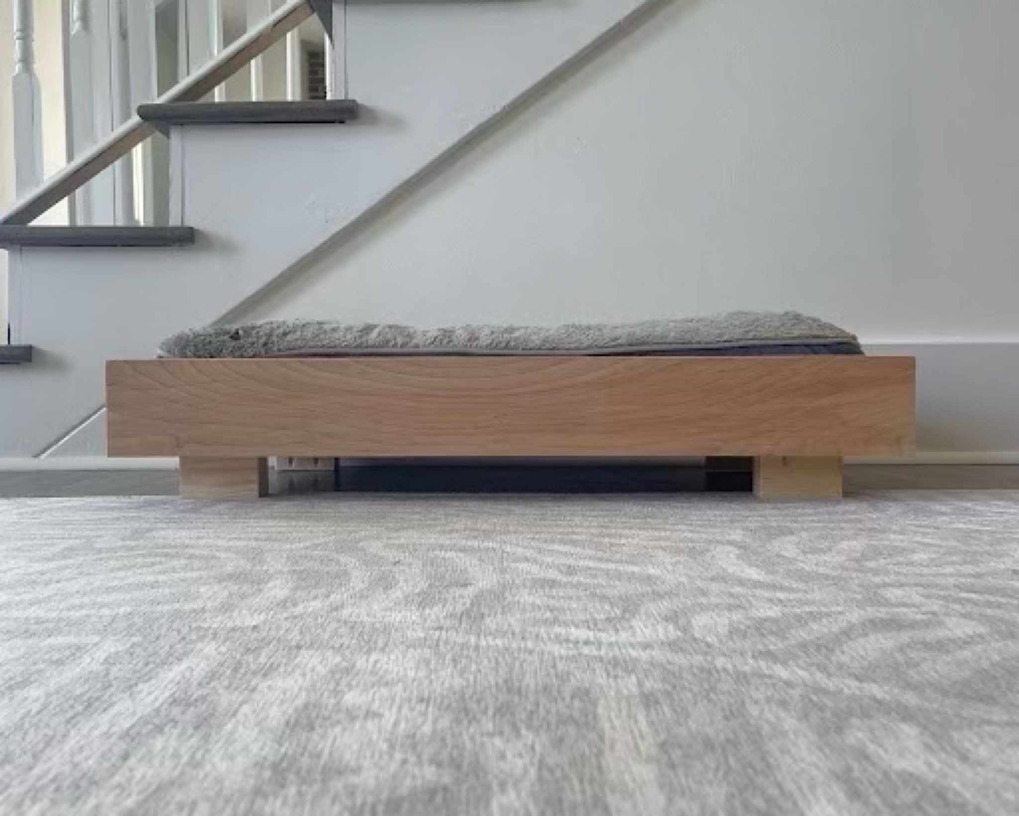 Custom Modern Dog Bed

#LTKFindsUnder100 #LTKHome #LTKFindsUnder50