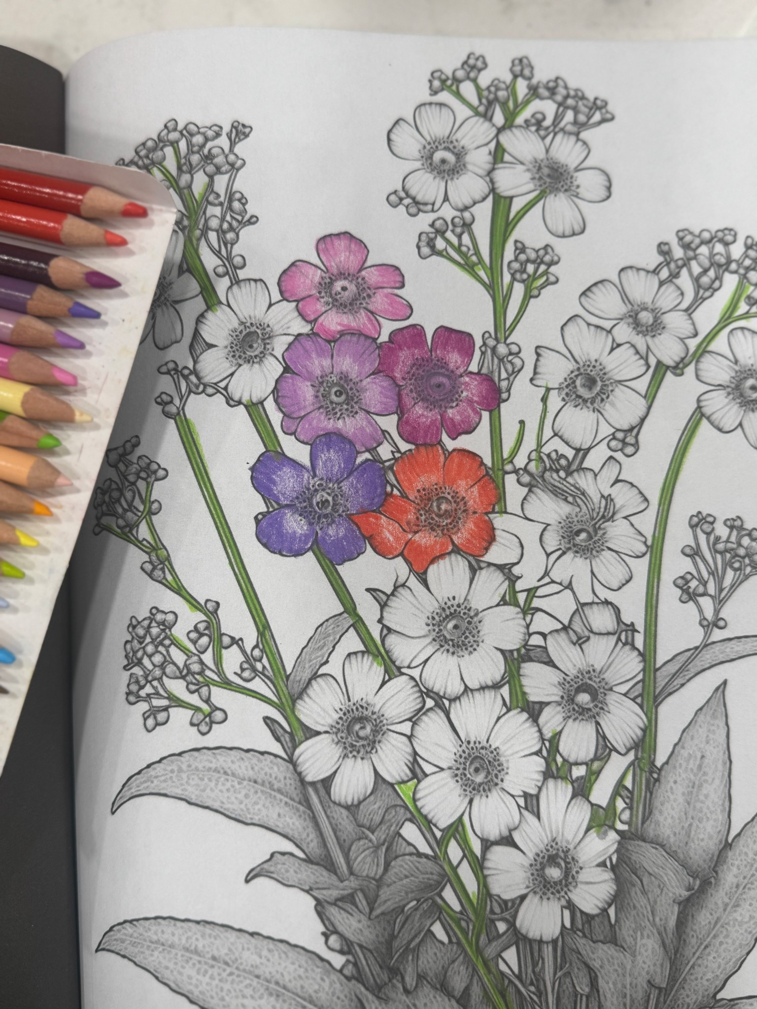 Adult coloring books for family time are a win!

#LTKmomlife #LTKselfcare #LTKdayinmylife