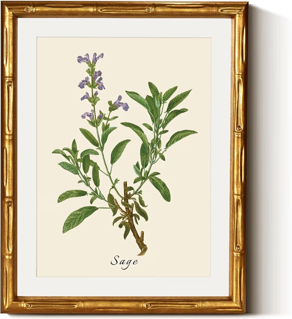 InSimSea Gold Bamboo Framed Canvas Wall Art, Vintage Watercolor Sage Herbs Prints, Antique Pictur... | Amazon (US)