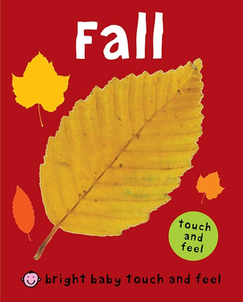 Fall (Bright Baby Touch and Feel) | Amazon (US)