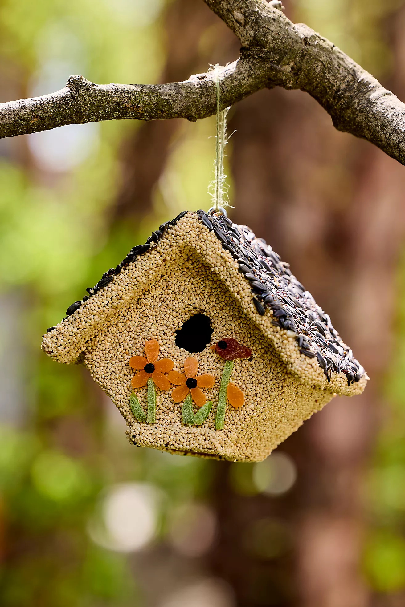 Fruit + Seed Bird House | Terrain