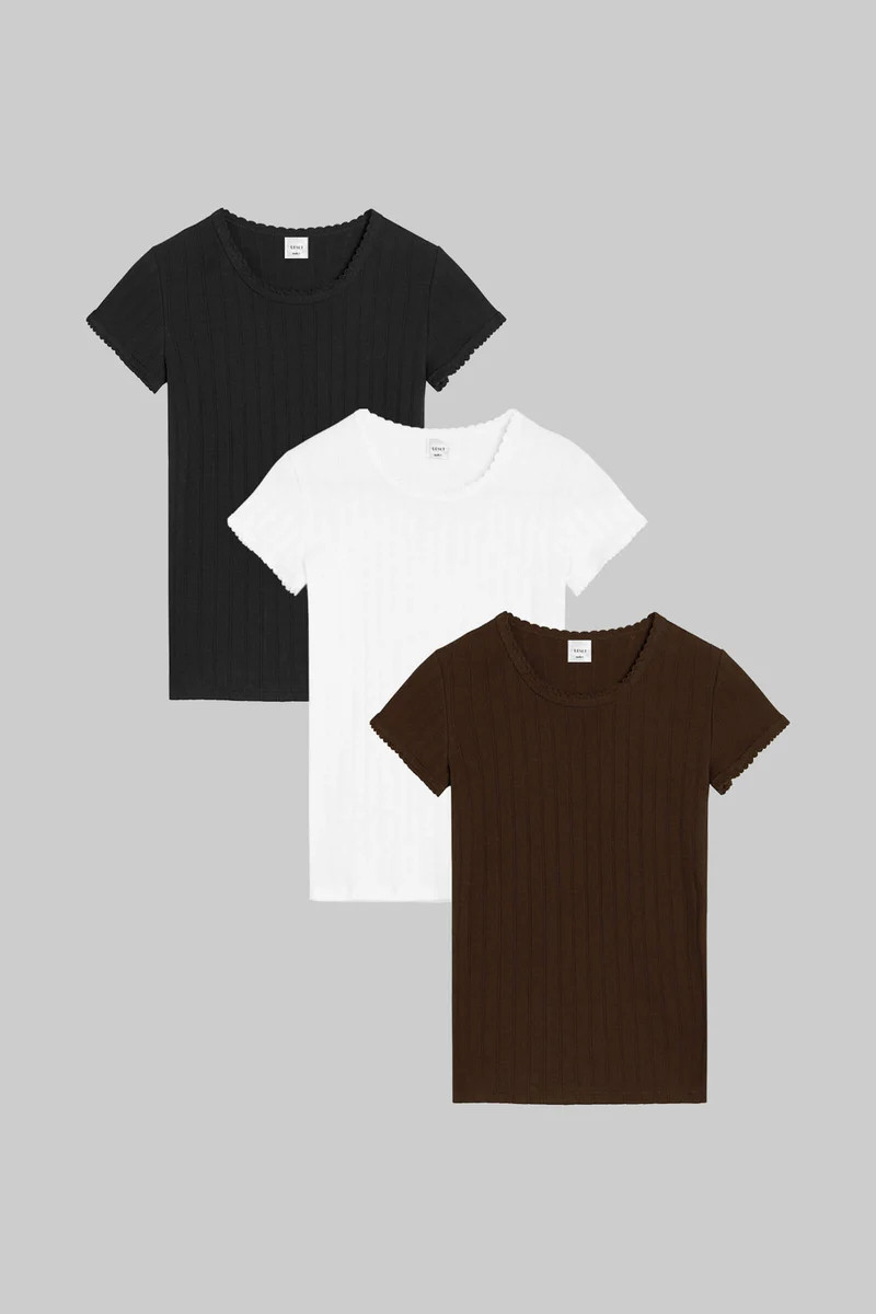 Pointelle Slim Fit Tee 3 Pack | LESET