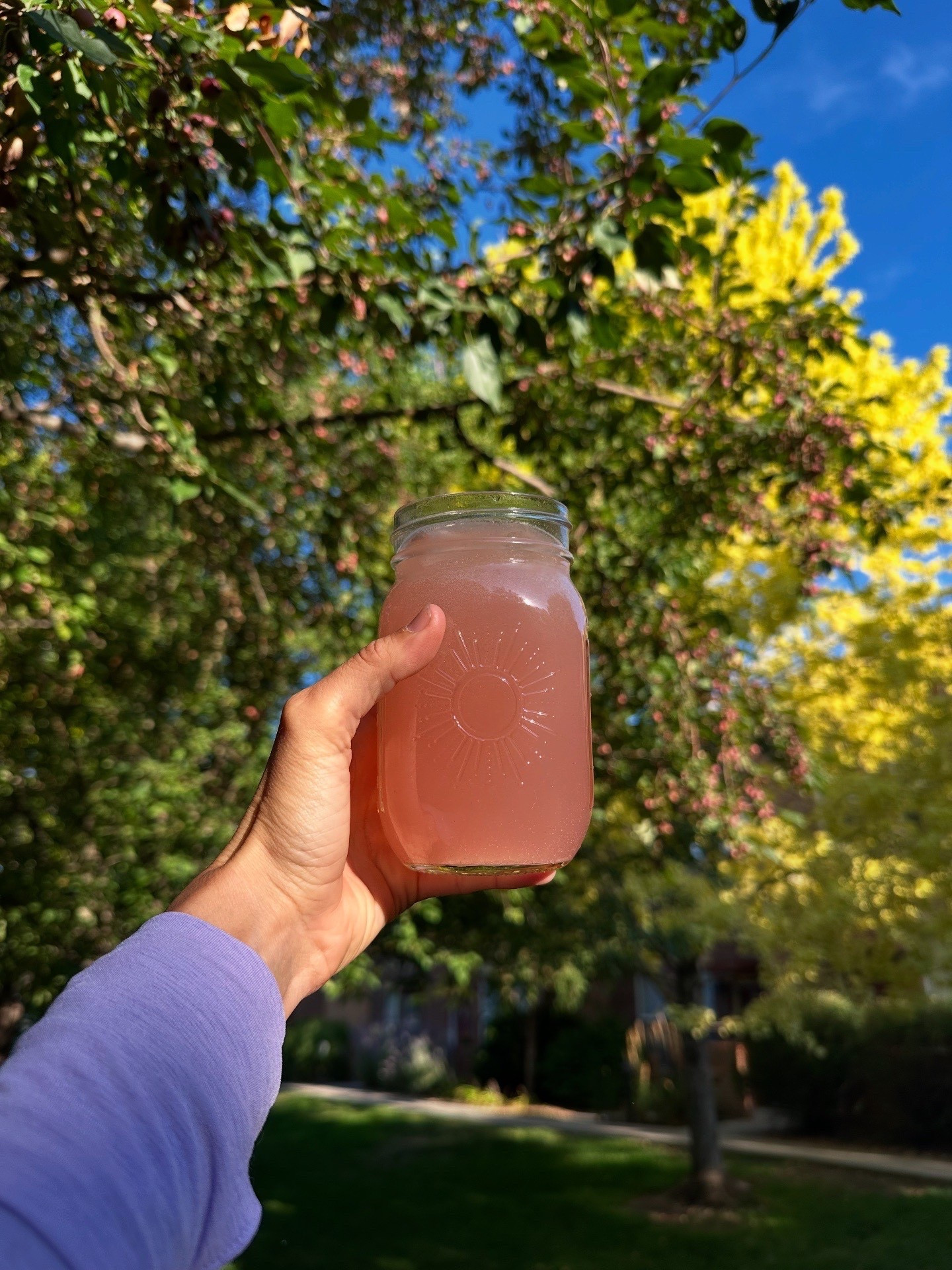 The cutest little limited edition embossed sun cups! 

#LTKFindsUnder50 #LTKHome #LTKSeasonal