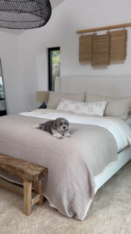 Neutral primary bedroom

Black woven pendant, black side tables, lamps with linen shades, woven wall art, linen bed frame, cozy bedding, large area rug, floor mirror, rustic bench, and a show stopping dog! 

Bedroom decor, home decor, home finds, interior design, accessories. 

#LTKunder100 #LTKstyletip #LTKhome