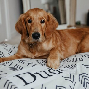 Leopard Dog Bed Cover - Dog Beds - Personalized Dog Bed - Custom Dog Bed - Animal Print - Boho Do... | Etsy (US)