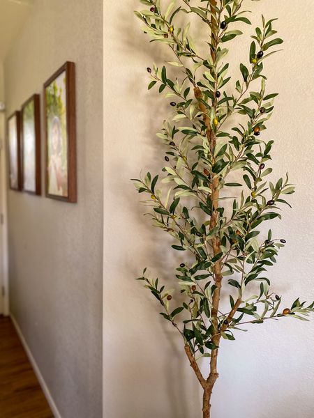 The best Faux Olive Tree is on sale! 🫒