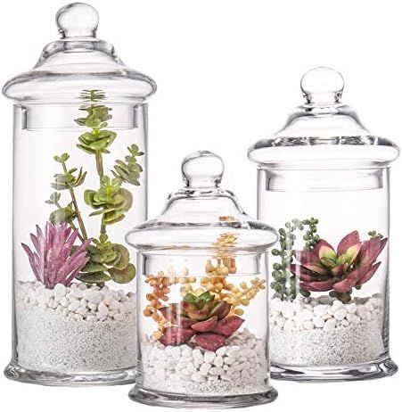 Diamond Star Set of 3 Glass Apothecary Jars with Lids Clear Bathroom Storage Organizer Canister S... | Amazon (US)