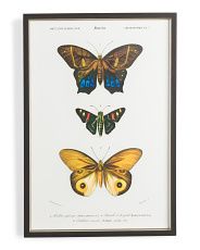 Three Butterflies Wall Art | Marshalls