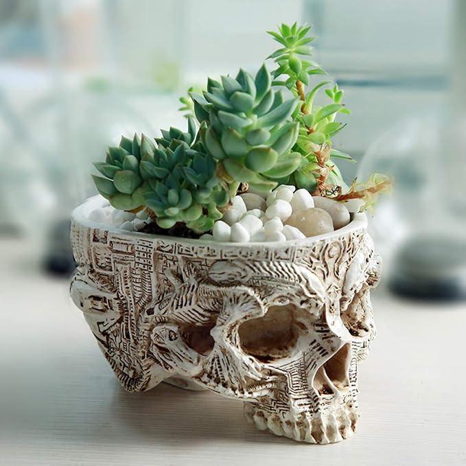 Resin | Amazon (CA)