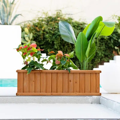 Barros Solid Cedar Rectangular Planter Box with Drainage Holes | Wayfair North America