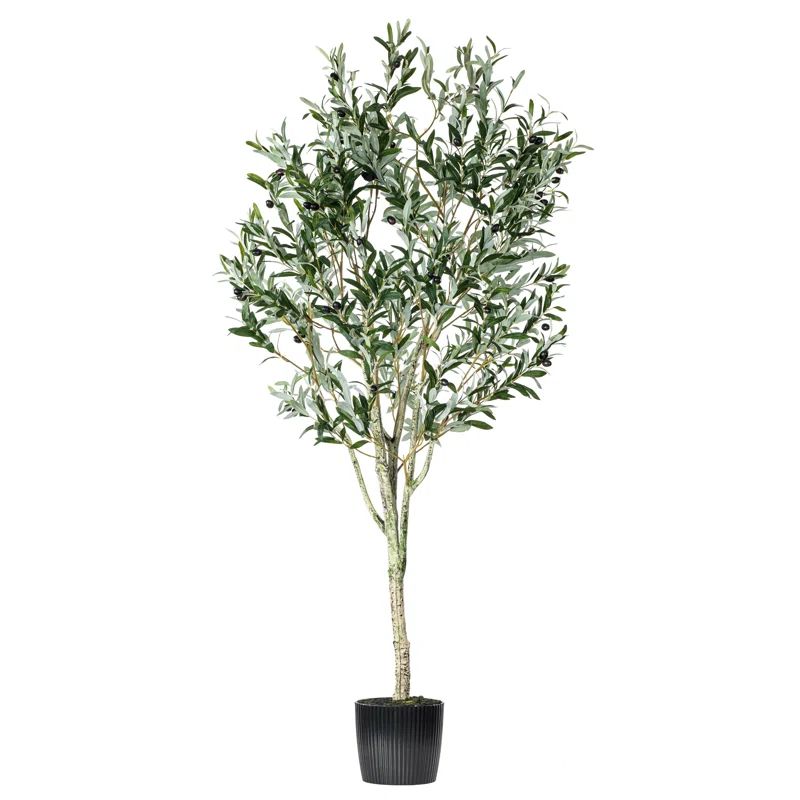 Artificial Green Olive Tree in Black Planters Pot. | Wayfair North America
