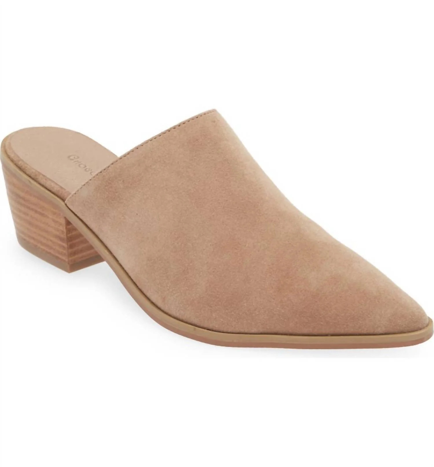 Women's Celia Pointy Toe Mule In Latte Suede | Shop Simon