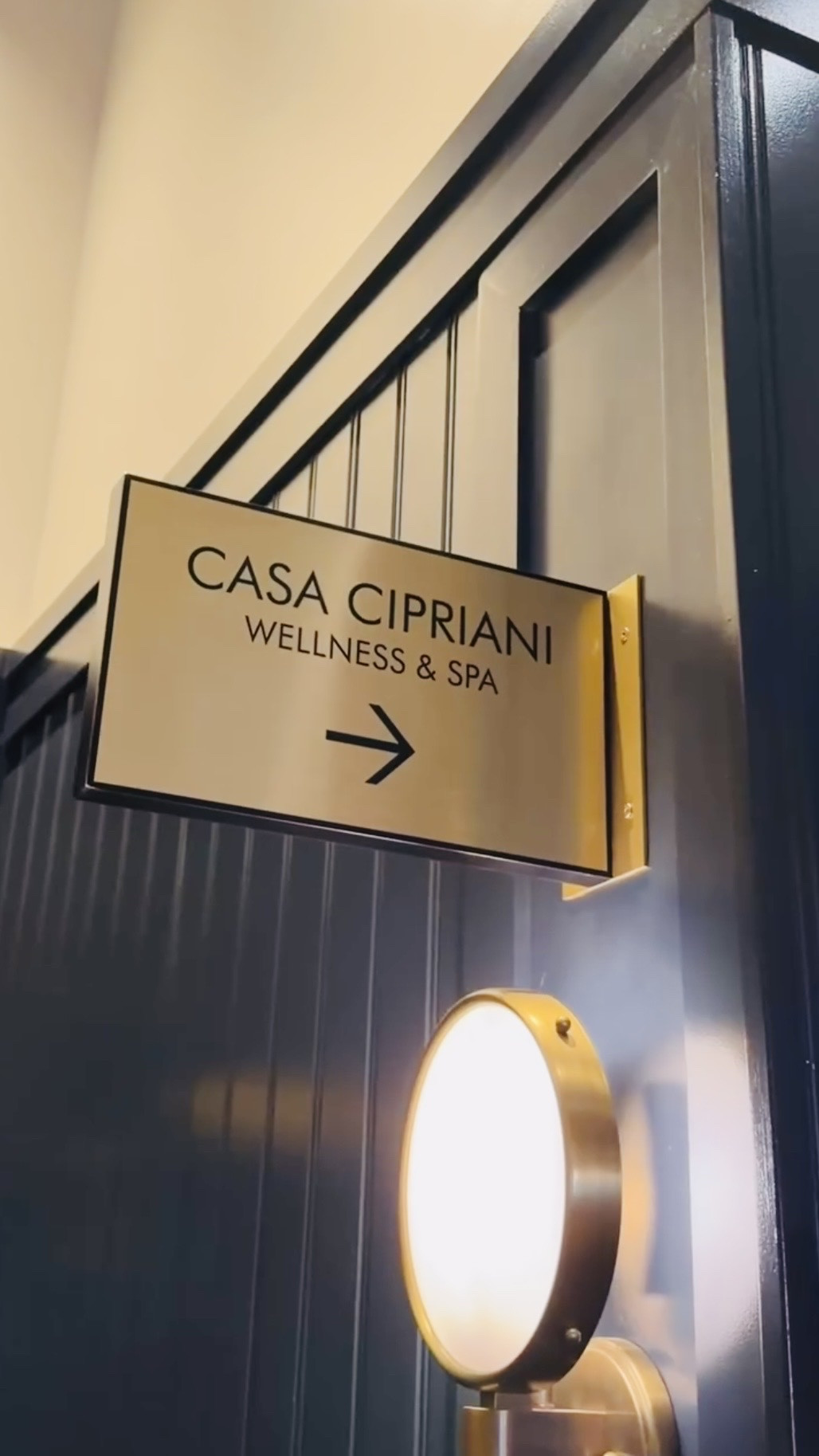Casa Cipriani New York City is the definition of waterfront luxury in Lower Manhattan. This private members club and hotel overlooks New York Harbor with views toward the Statue of Liberty, elegant indoor lounges, private terraces and a dedicated Wellness & Spa designed for a full escape from the city.

Inside the Casa Cipriani Wellness & Spa, the experience includes private treatment rooms, a cedar sauna, relaxation lounges, plush robes, spa refreshments and beautifully designed spaces with warm wood, soft lighting and five-star details throughout. It is the perfect inspiration for creating an elevated spa day at home.

Nirvana is linking her favorite skincare and self-care essentials inspired by this experience, including Dr. Dennis Gross LED face masks, luxury skincare tools, facial devices, hydrating treatments, eye masks, body care, plush robes, spa accessories, cosmetic bags and more wellness favorites.

Nirvana the Shih Tzu 💋 Nirvana Approved

#LTKBeauty #LTKTravel #LTKselfcare