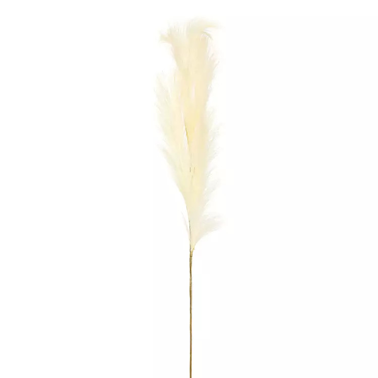 Natural Cream Pampas Grass Stems, Set of 4 | Kirkland's Home
