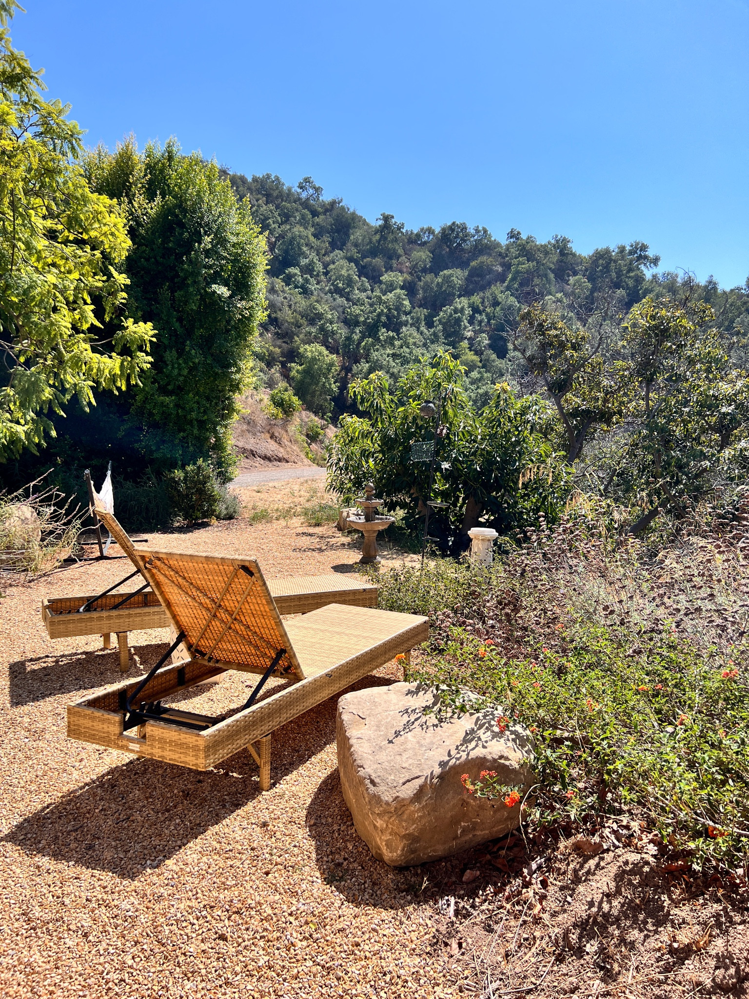 The weather is starting to get really nice and I’m super excited to spend more time outdoors and in my backyard. These woven outdoor rattan loungers are so pretty. I love how they blend in to the natural aesthetic. 











Patio furniture | outdoor furniture | boho furniture | home decor | summer decor | outdoor decor 

#LTKHome