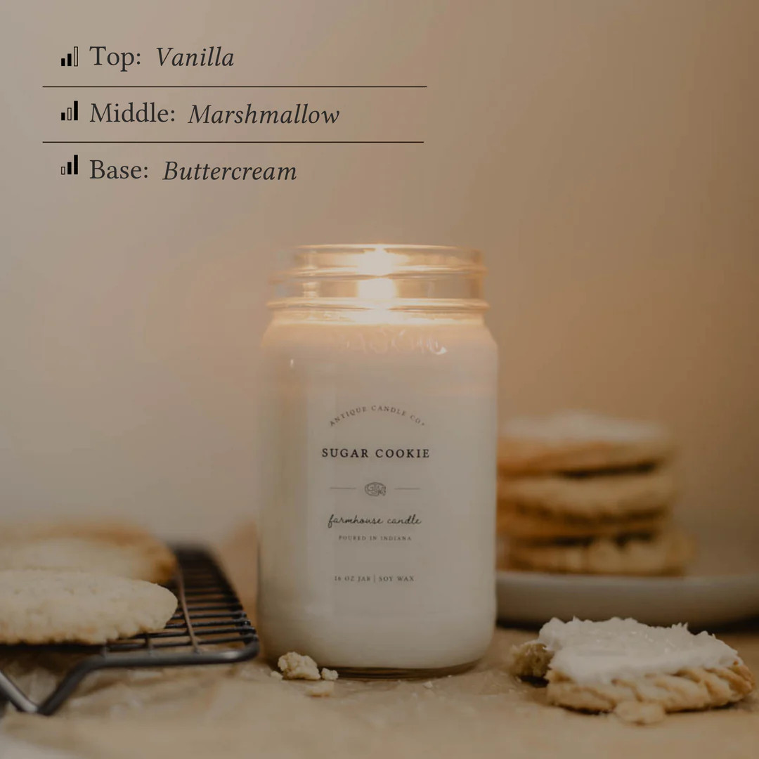 Sugar Cookie 16 oz candle | Antique Candle Co.