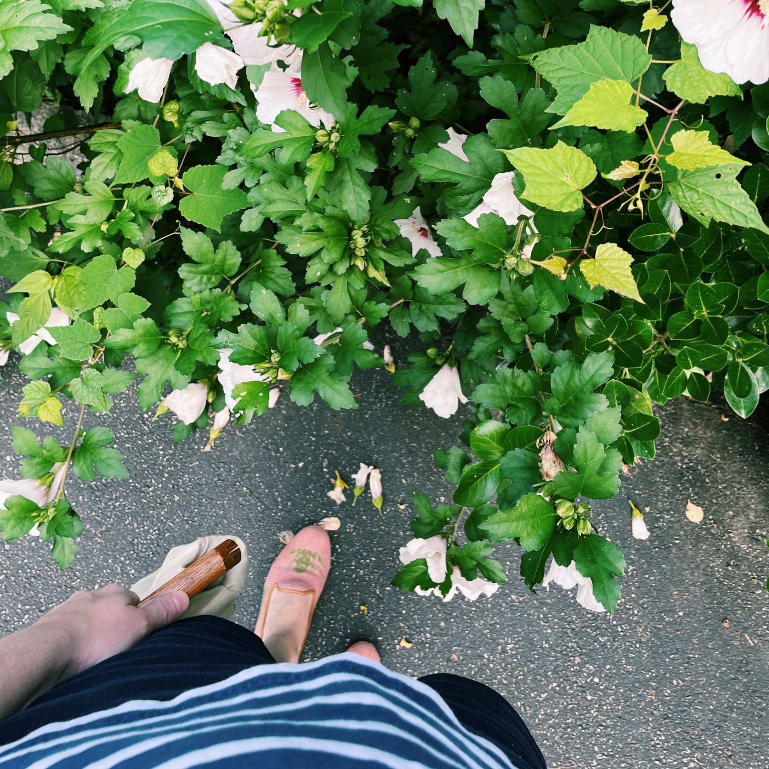 Sharing my top Tuckernuck sample sale picks!

#LTKunder100 #LTKunder50