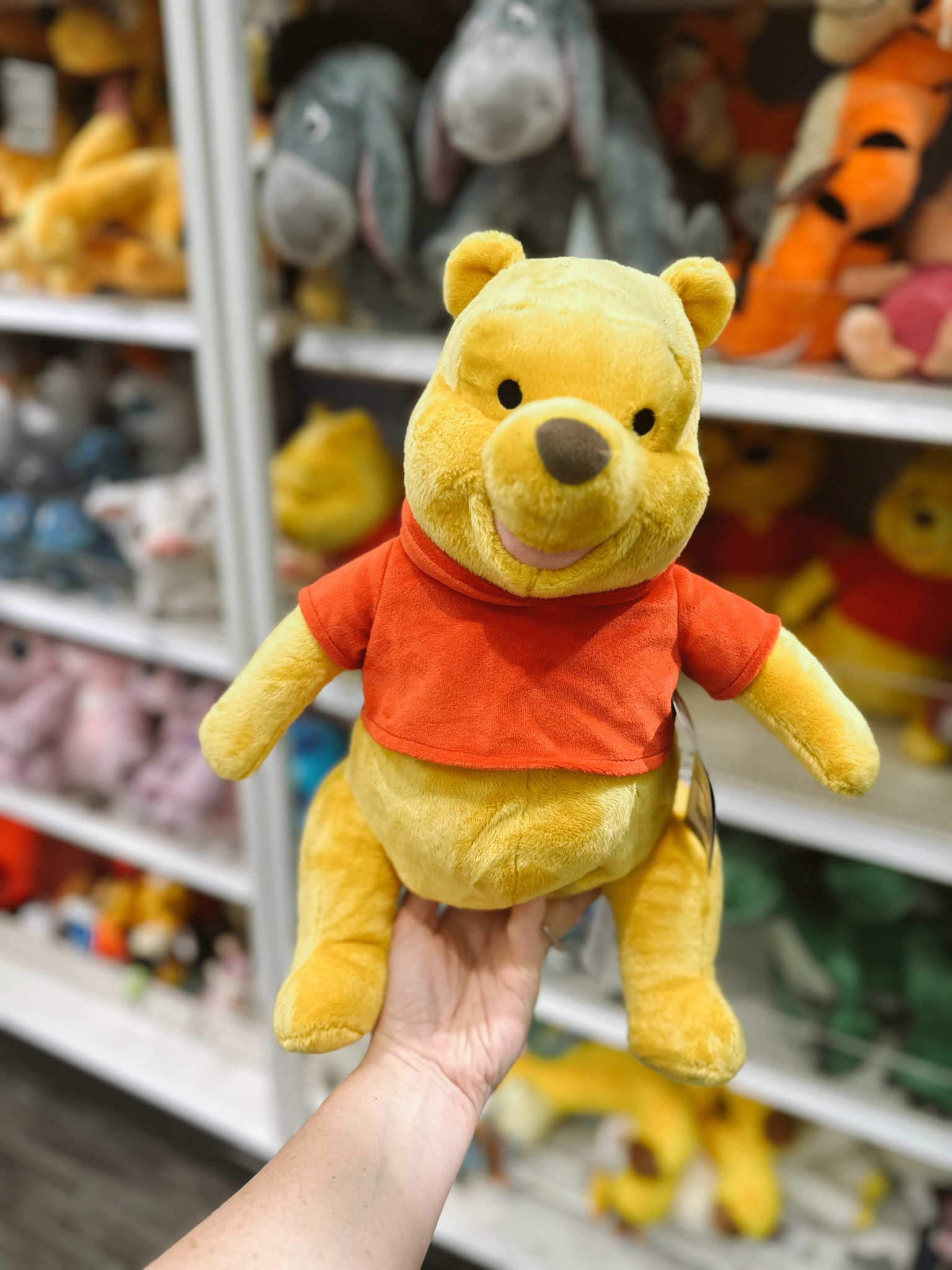 ALL DISNEY PLUSHIES 🫶🏽

#LTKbaby #LTKkids #LTKfindsunder50