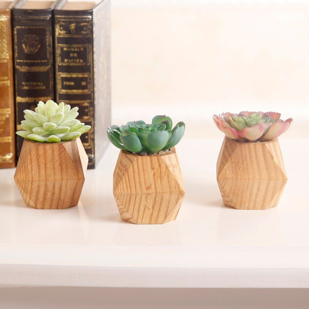 SET OF 3 Faux Succulent in WOOD Pot - ONE-SIZE (ONE-SIZE) | Bed Bath & Beyond