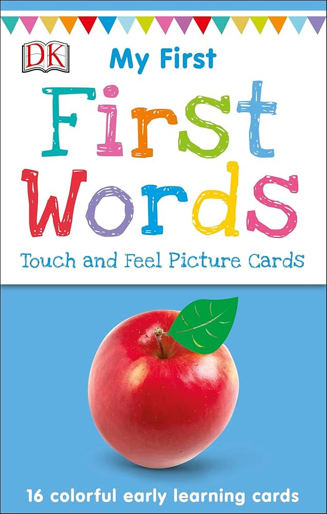 My First Touch and Feel Language Picture Cards: First Words (My First Board Books) | Amazon (US)
