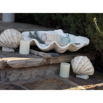 Large Clam Shell Decor Tray Display Seashell Beach Bowl Indoor Realistic Accent  | eBay | eBay US