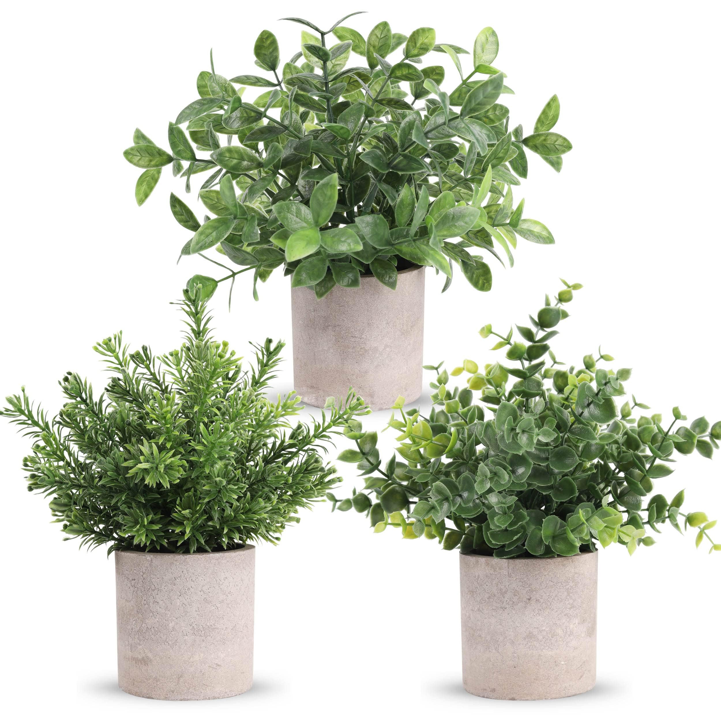 Der Rose 3 Pack Mini Potted Fake Plants Artificial Plastic Eucalyptus Plants Centerpieces for Tab... | Amazon (US)