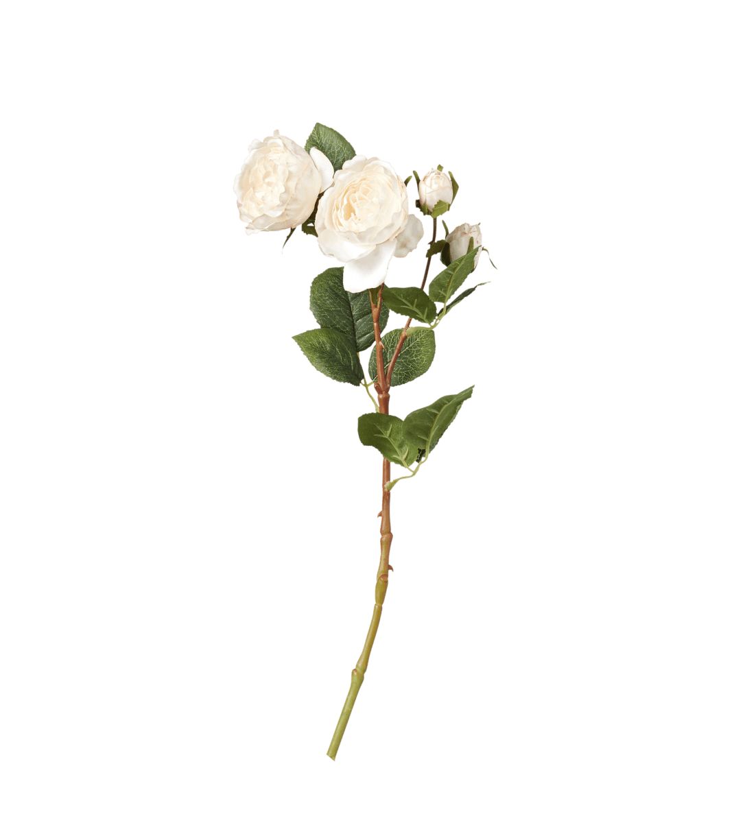 Faux Rose Stem - Flushed Cream | OKA US