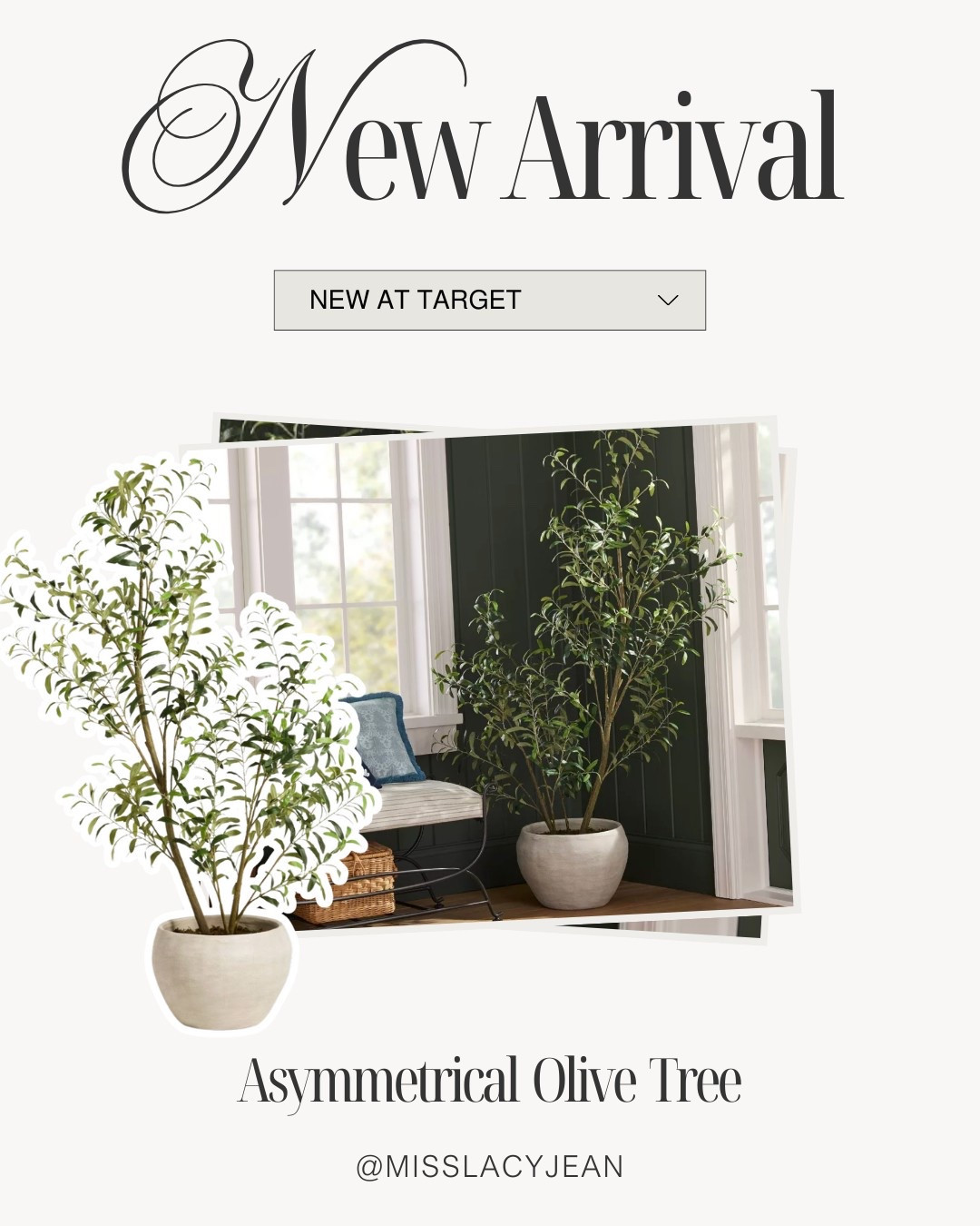 New Home Finds At Target 🎯

target home // target finds // target home finds // home finds // home decor finds // neutral home decor // hearth and hand magnolia // hearth and hand fall // hearth and hand // affordable home decor // olive tree // olive tree planter // faux tree // faux plants

#LTKHome #LTKdayinmylife #LTKSeasonal