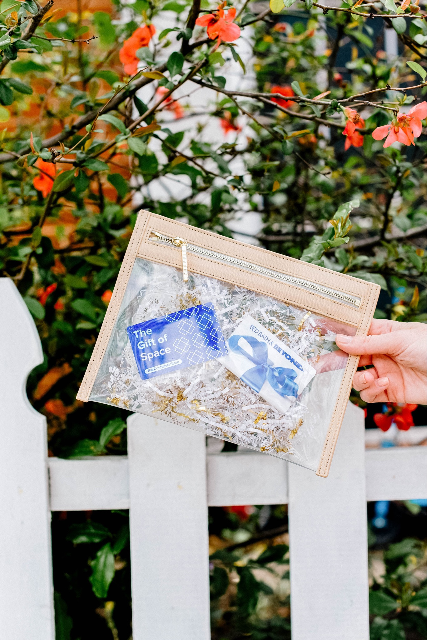 The best clear pouch for any high school or college graduate!

#LTKGiftGuide #LTKsalealert #LTKunder50