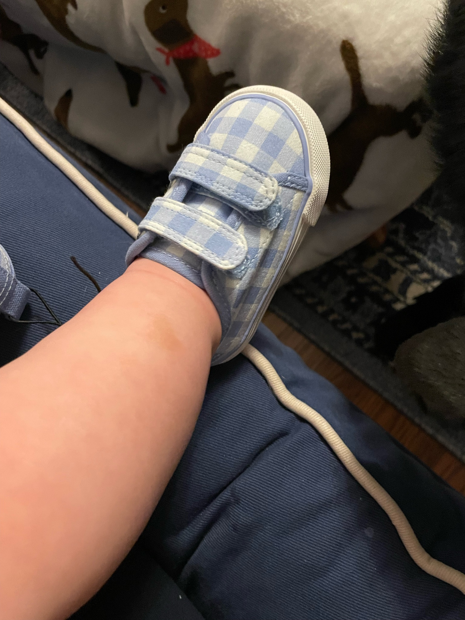 Baby boys blue gingham tennis shoes

#LTKfamily #LTKshoecrush #LTKbaby