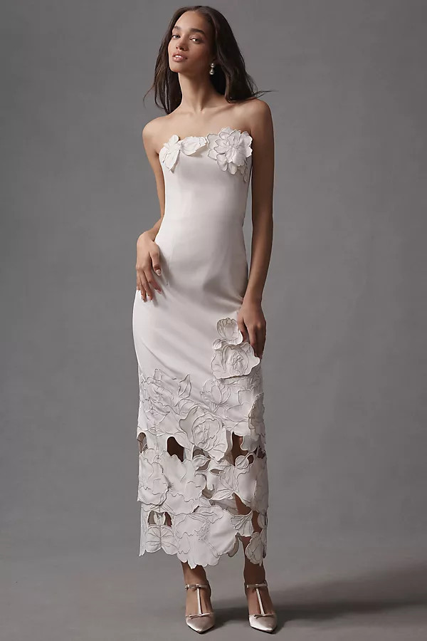 Rayne Strapless Appliqué Midi Dress | Anthropologie (US)