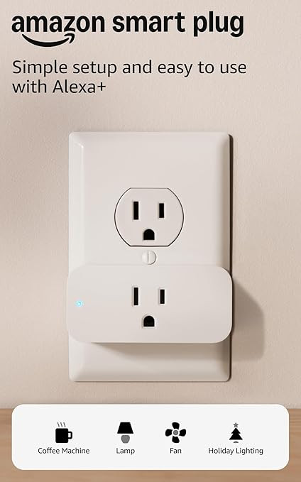 Amazon Smart Plug, Works with Alexa, Simple Setup, Endless Possibilities | Amazon (US)