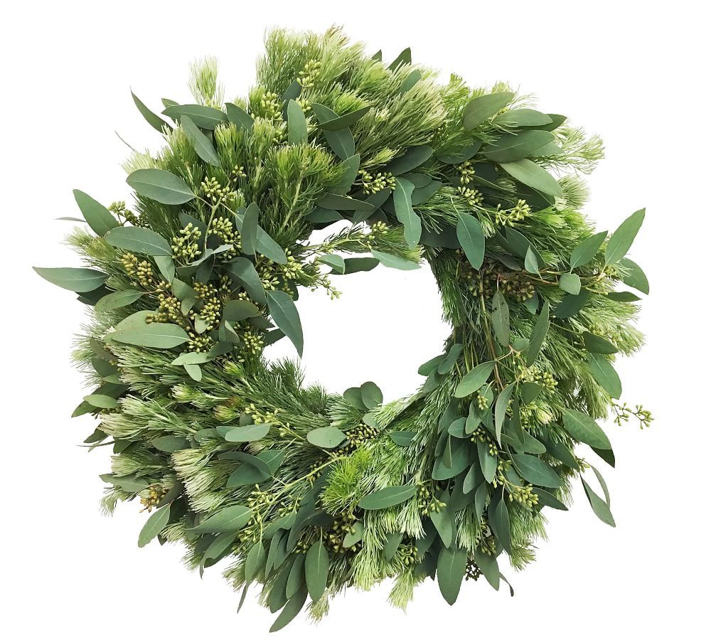 Fresh Woolly Bush and Eucalyptus Wreath, 20&amp;quot; | Pottery Barn (US)