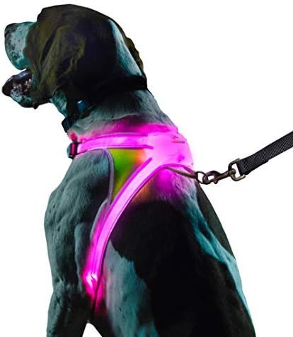 Amazon.com : Noxgear LightHound - Multicolor LED Illuminated, Reflective Dog Harness (Medium) : P... | Amazon (US)