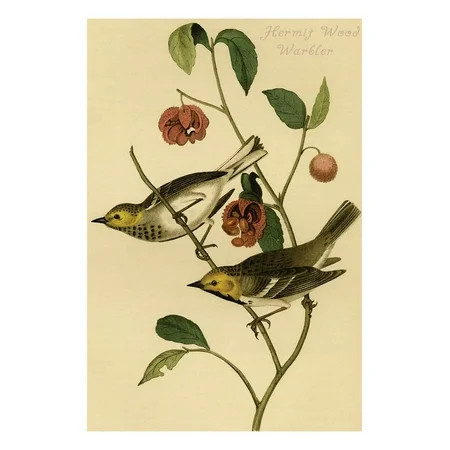 Hermit Wood Warbler Print Wall Art By John James Audubon | Walmart (US)