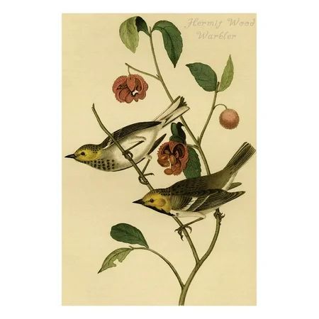 Hermit Wood Warbler Print Wall Art By John James Audubon | Walmart (US)