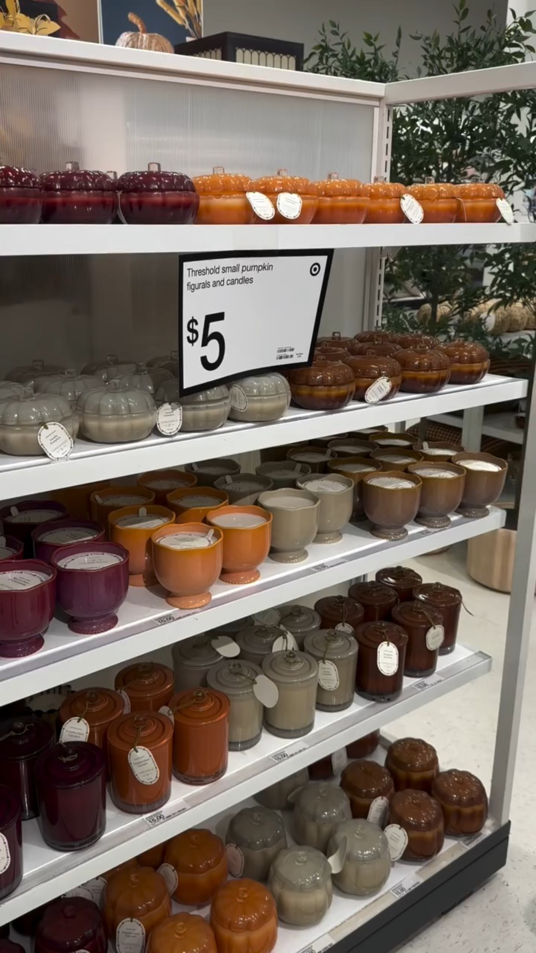 Which one’s about to “accidentally” end up in your cart? 🎃🕯️🤍

— fall candles, pumpkin candles, pumpkin bourbon candle, vanilla pumpkin candle, scents of fall | #pumpkincandle #fyp #falldecor #fall #fall2025 #fallcandle #scentsoffall #shopmytargetstyle #targetstyle

#LTKHome #LTKHalloween #LTKSeasonal