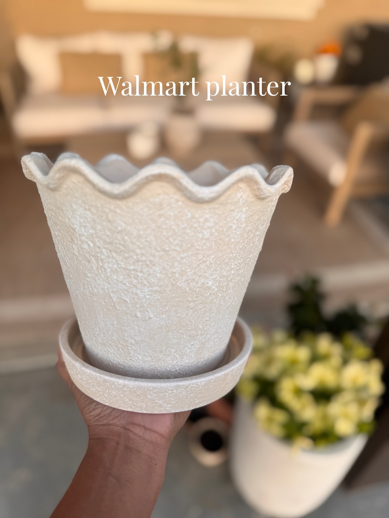 So many other cute styles and colors too. Planter | spring | garden style

#LTKSeasonal #LTKHome