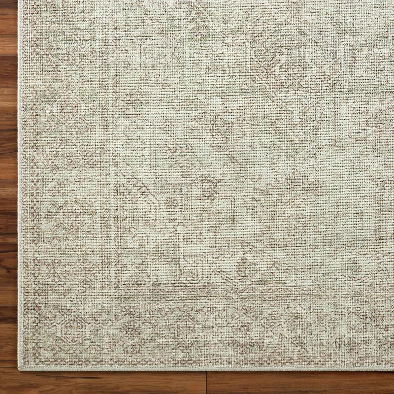 Becki Owens x Surya Margot Oriental Iguana Area Rug | Wayfair North America