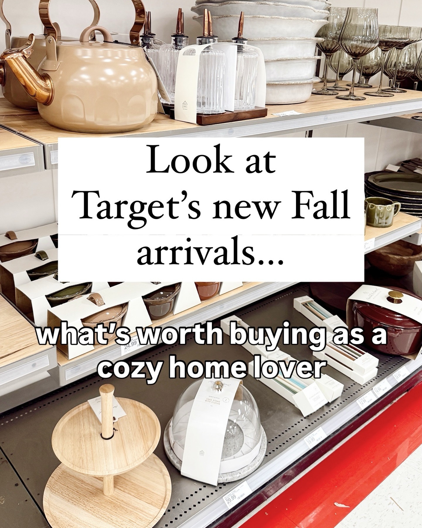 Fall home decor at Target…what’s worth buying! Fall stems, fall candles, fall pillows and more.  So cozy! Cozy home finds at Target fall new releases 

#LTKHome #LTKautumn #LTKSeasonal