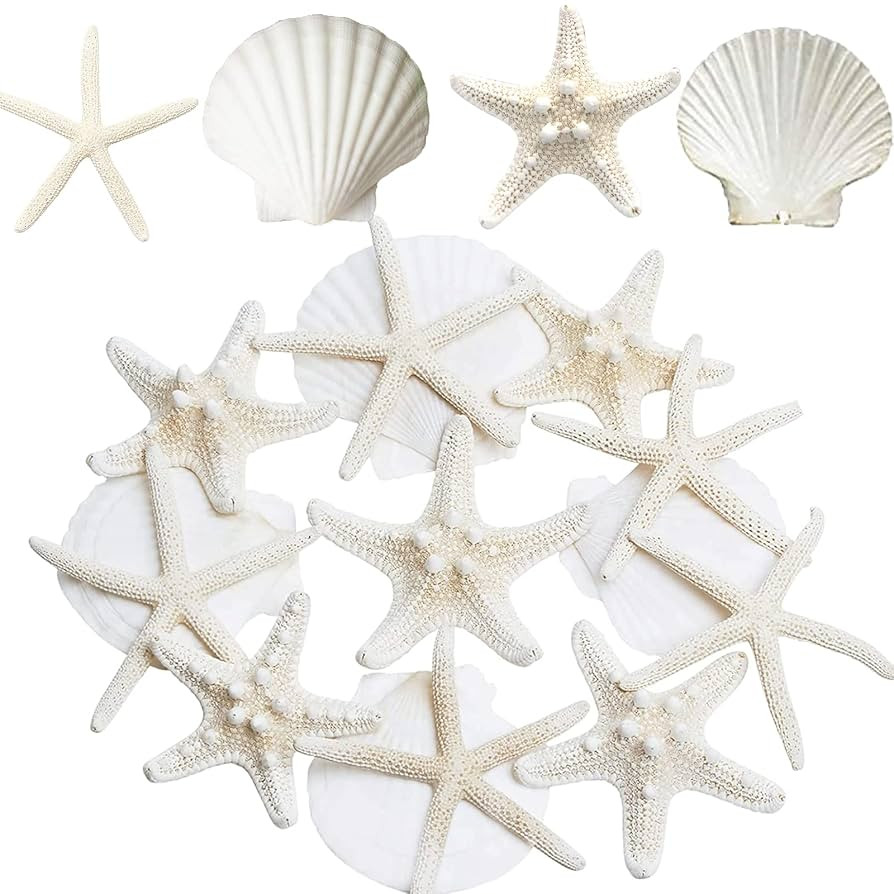 JQAQJU 3-4 Inches Large Starfish and Scallop Shells for Crafts 12PCS, Natural Beach Sea Shells fo... | Amazon (US)