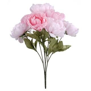 Pink Mixed Peony Bush by Ashland® | Michaels Stores