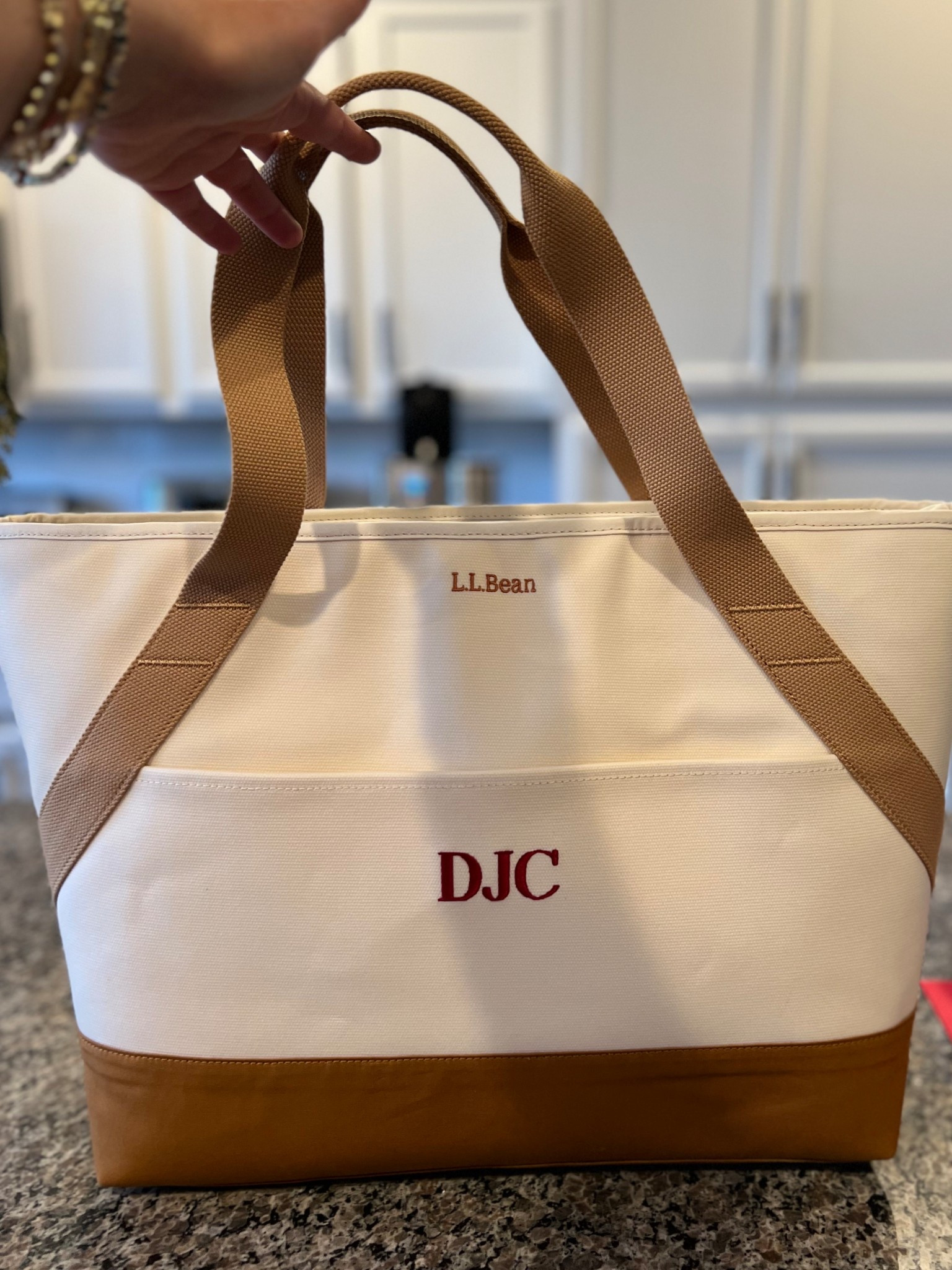 Large insulated cooler bag! Such a well made piece! 