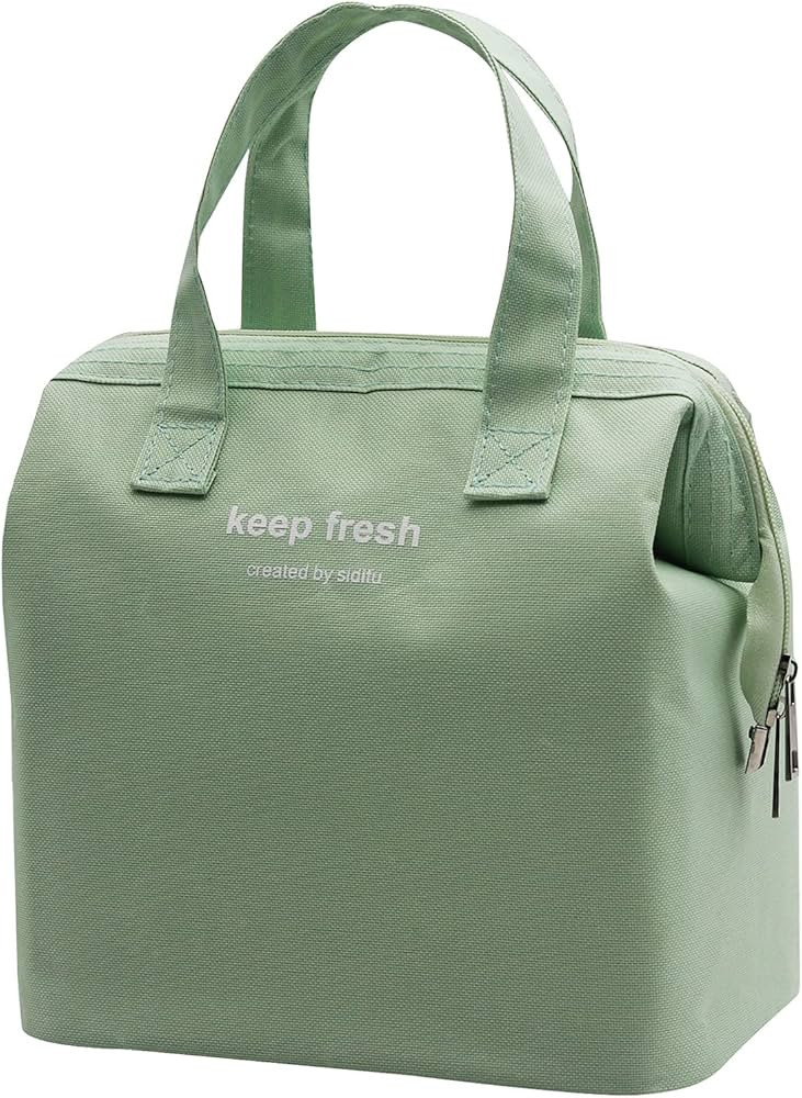 Mziart Insulated Lunch Bag Simple Bento Cooler Bag Lunch Tote Bag for Lunch Box for Women Men Adu... | Amazon (US)