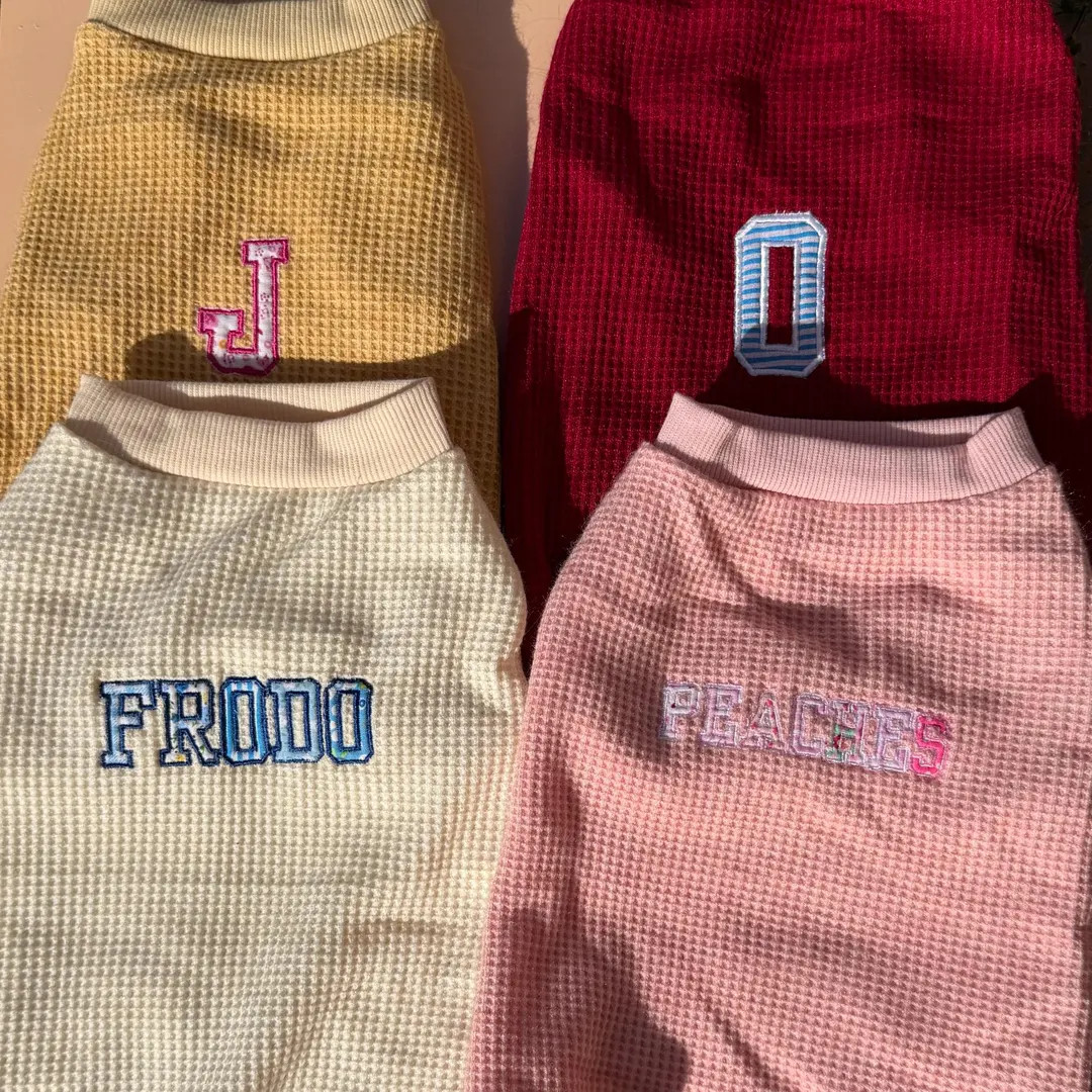 Personalized Pet Sweater, Custom Name Appliqué, Cat or Dog Embroidered Name Top - Etsy | Etsy (US)