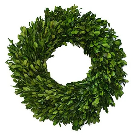 Preserved Garden Boxwood Wreath 14 | Walmart (US)