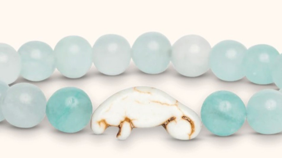 fun stocking stuffer!

#LTKGiftGuide #LTKHoliday #LTKCyberWeek